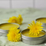 How to Make Dandelion Salve (For Sore Muscles and Healthy Skin)