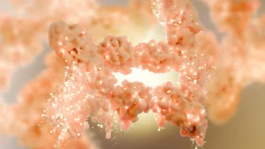 New obesity discovery rewrites decades of fat science
