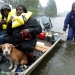 Dangerous heavy rains are getting more likely and widespread  » Yale Climate Connections