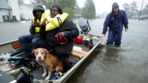 Dangerous heavy rains are getting more likely and widespread  » Yale Climate Connections