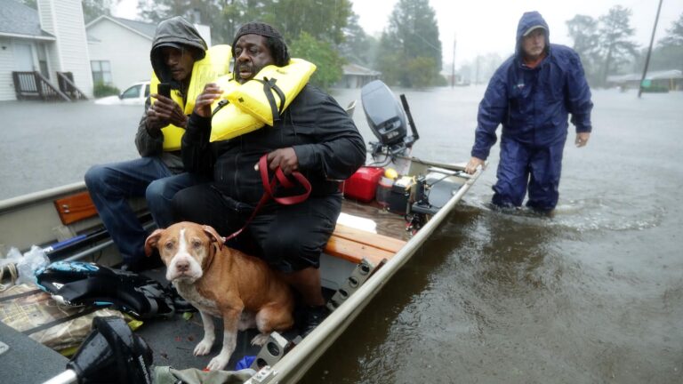 Dangerous heavy rains are getting more likely and widespread  » Yale Climate Connections