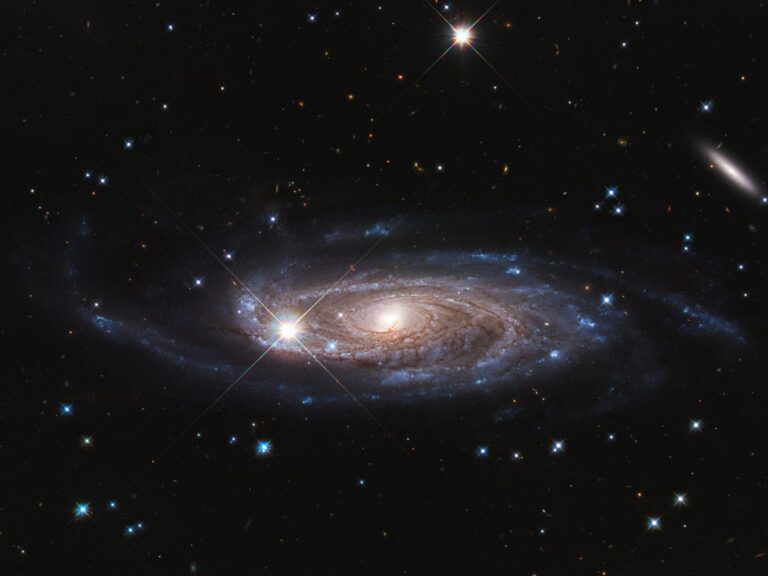 How big can a galaxy get?