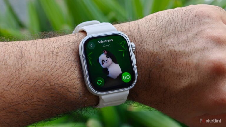 Apple Watch rings stopped motivating me