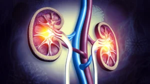 A common constipation drug shows surprising power to protect kidneys