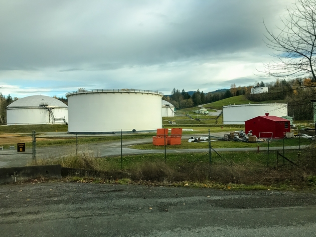 Kinder Morgan jumps 3% after six straight sessions of losses