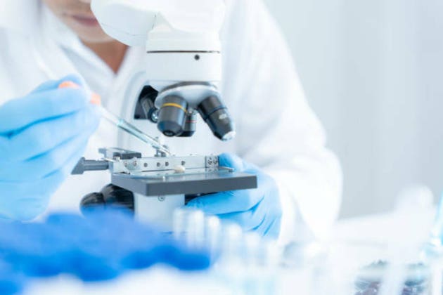 Elliott builds big stake in life-science firm Bio-Rad Labs, WSJ reports (BIO:NYSE)