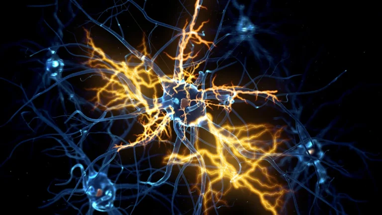 Human organoids reveal how to reverse “irreversible” nerve damage