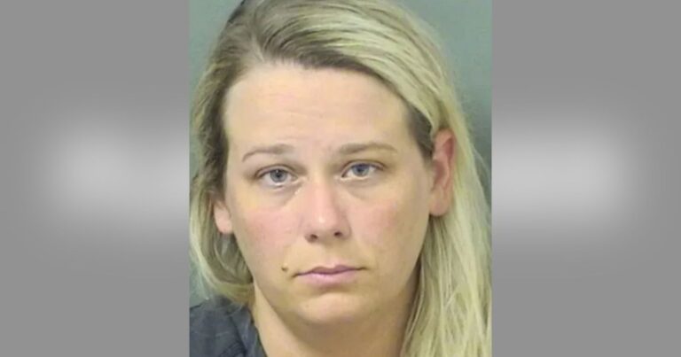 Nurse Allegedly Killed 3 Florida Police Officers in Crash