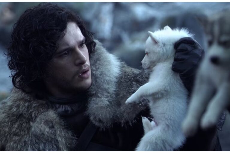 Pick Some Popular Shows And I'll Give You A Cute Puppy To Adopt