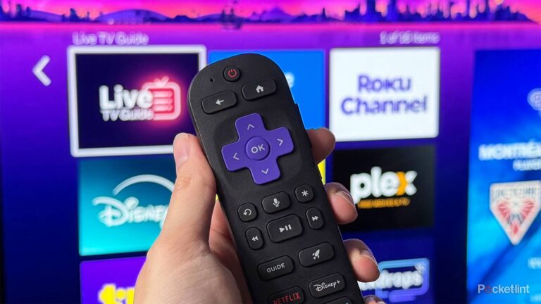 One simple Roku tweak completely changed my streaming experience