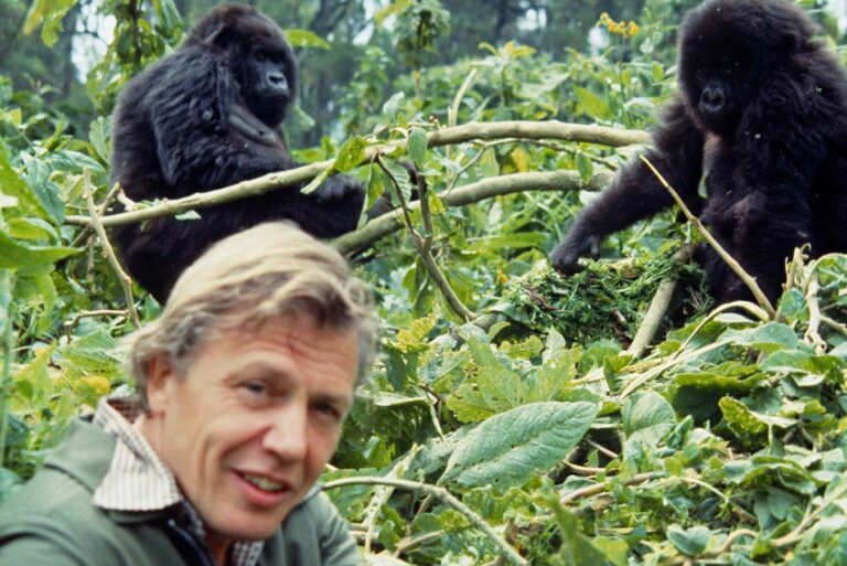 New Scientist staff pick the greatest David Attenborough documentaries you really need to watch
