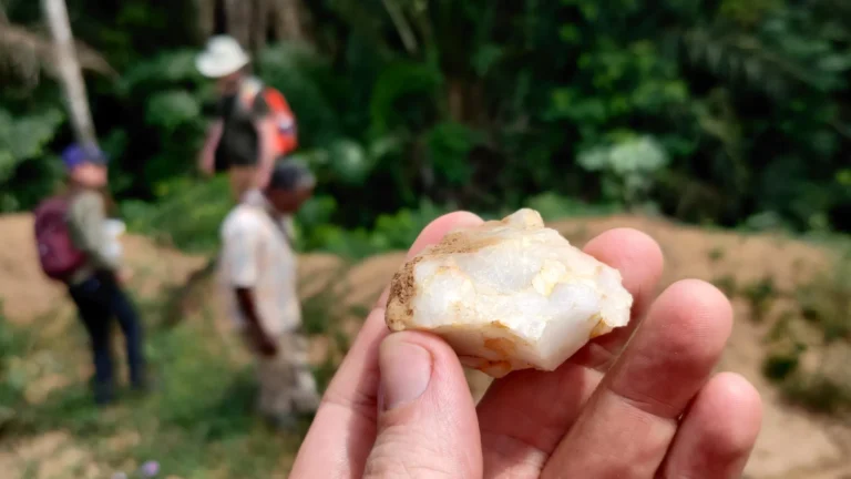 Lost for 150,000 years: Rainforest discovery upends human history