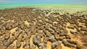 Ancient asteroid craters may have sparked Earth’s oxygen-producing life