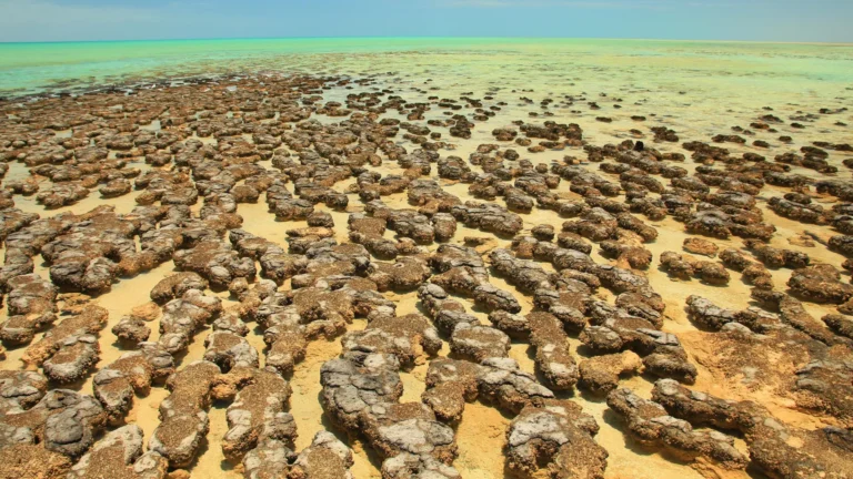 Ancient asteroid craters may have sparked Earth’s oxygen-producing life