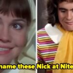Can You Name These Nick At Nite Shows?