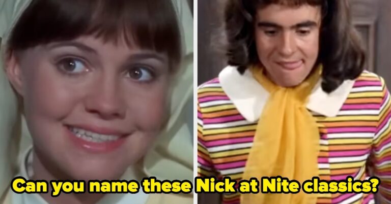 Can You Name These Nick At Nite Shows?