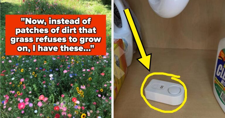 31 Life-Changing (And Low-Cost) Upgrades That Homeowners Have Absolutely Zero Regrets Over
