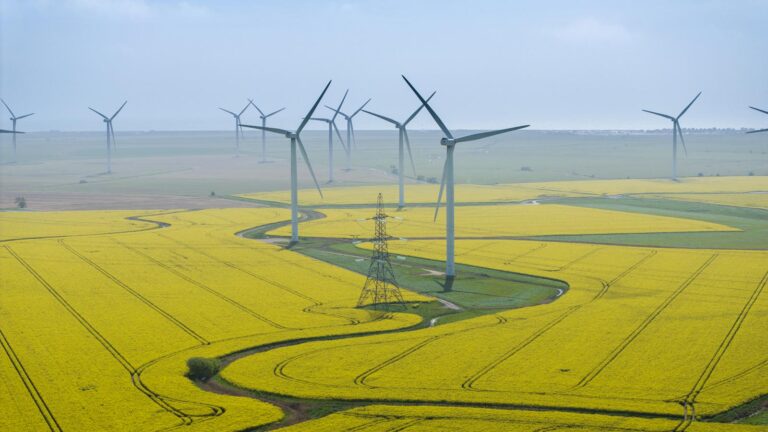 Earth’s fourth-warmest April on record » Yale Climate Connections