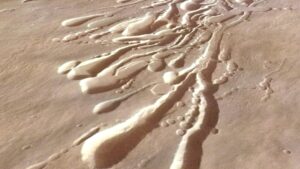 Scientists want to send a roly-poly robot filled with ‘dandelion drones’ to investigate hidden tunnels on Mars