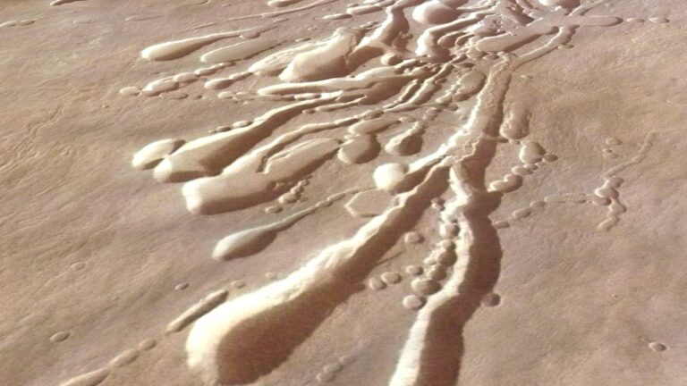 Scientists want to send a roly-poly robot filled with ‘dandelion drones’ to investigate hidden tunnels on Mars