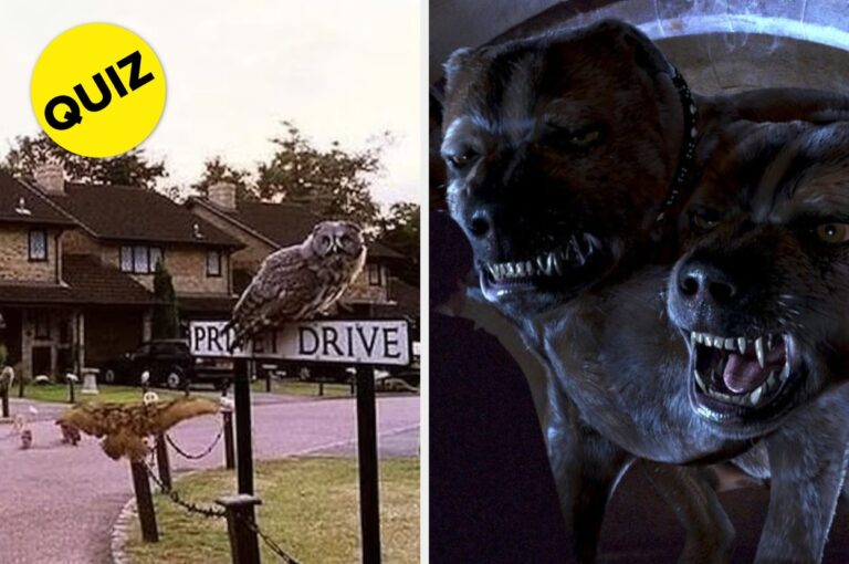 Can You Score 9+ On This Harry Potter Quiz?