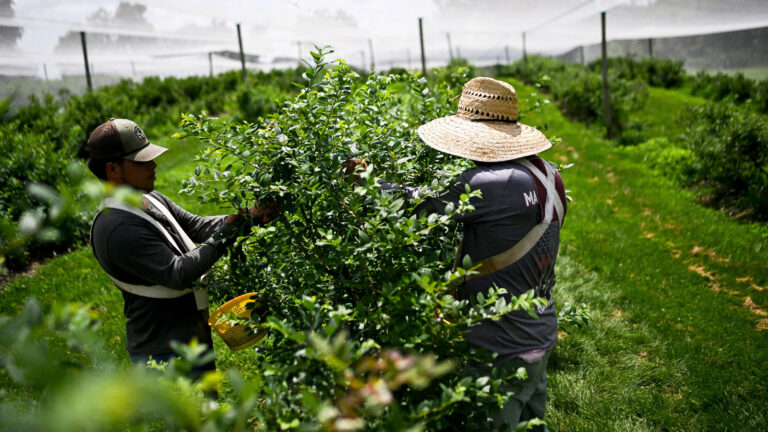 Extreme heat is hitting rural America hard » Yale Climate Connections