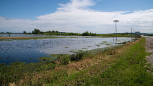 Flooding is rewriting the rules for this Pennsylvania farm » Yale Climate Connections