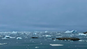 Arctic warming alters weather patterns across the globe » Yale Climate Connections