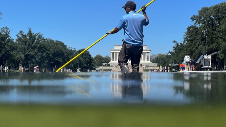 Antifa Algae? Trump Fans Spin Wild Reflecting Pool Theories