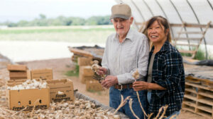 Small farmers need a better safety net, trade group says » Yale Climate Connections