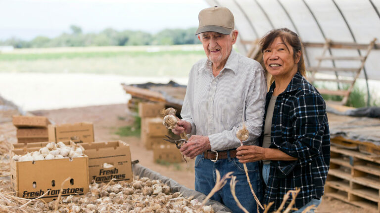 Small farmers need a better safety net, trade group says » Yale Climate Connections