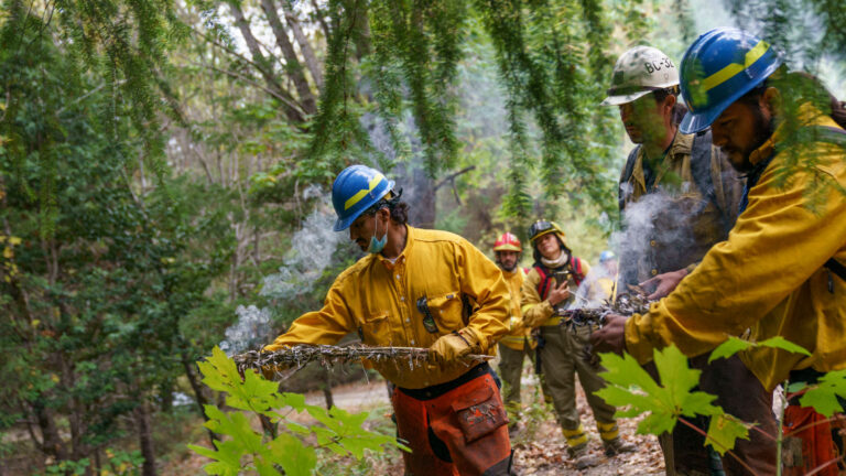 One Indigenous man’s mission to change how the Forest Service thinks about fire » Yale Climate Connections