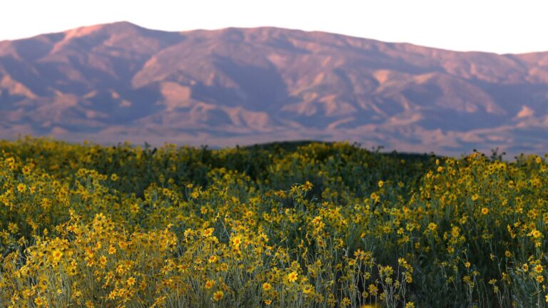 Second-warmest spring in U.S. history » Yale Climate Connections