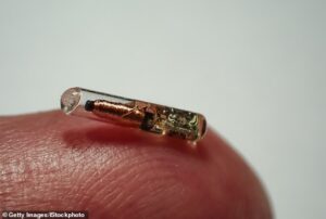 Microchips could be put under prisoners’ skin to track them, tech bosses told prison minister