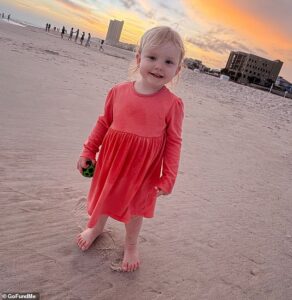 Distraught family sues to prevent hospital from declaring girl, 2, brain dead after she was found at bottom of hotel swimming pool