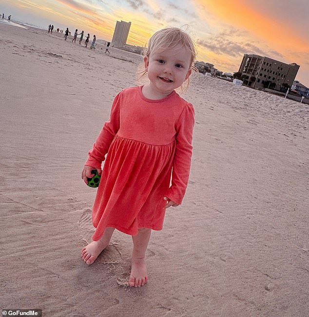 Distraught family sues to prevent hospital from declaring girl, 2, brain dead after she was found at bottom of hotel swimming pool