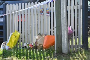 Australian mother’s chilling internet searches before killing her two young kids in their family home – as lawyer argues mental health impairment