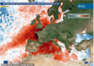 The ominous sign a SUPER El Niño is inching closer: Satellite image reveals how large areas of the Atlantic Ocean are 5°C hotter than usual – suggesting the unusual climate event could be imminent