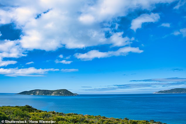 Diver fighting for life after he was mauled by four-metre shark at Michaelmas Island, WA