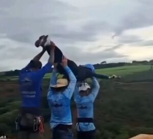 Bungee horror: 130ft ‘Skeleton Bridge’ where Brazilian student, 21, was hurled to her death without a rope to be blown up after family’s plea
