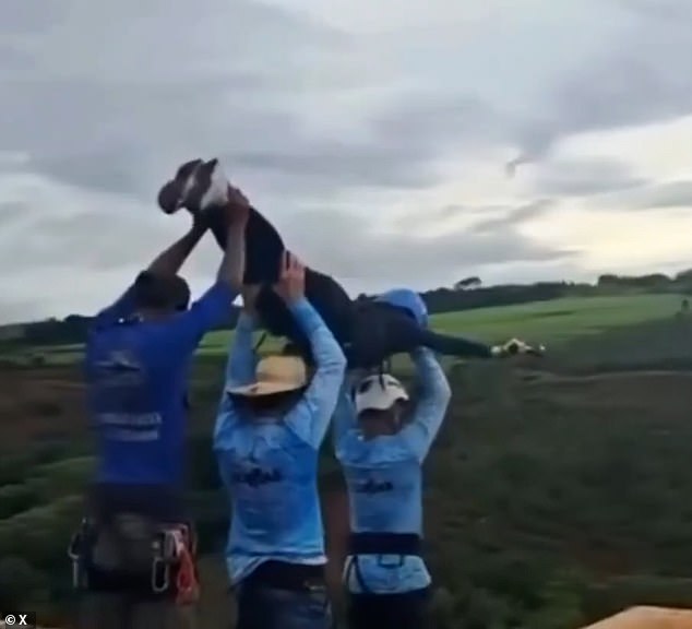 Bungee horror: 130ft ‘Skeleton Bridge’ where Brazilian student, 21, was hurled to her death without a rope to be blown up after family’s plea