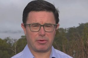 Nationals MP calls for fuel excise extension as Aussie drivers set to pay an extra 32 cents a litre within weeks