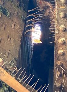 Sinkholes on railway bridge suspend trains to Gatwick Airport as ‘tempers flare’ in queue for replacement bus where passengers were left waiting for two hours