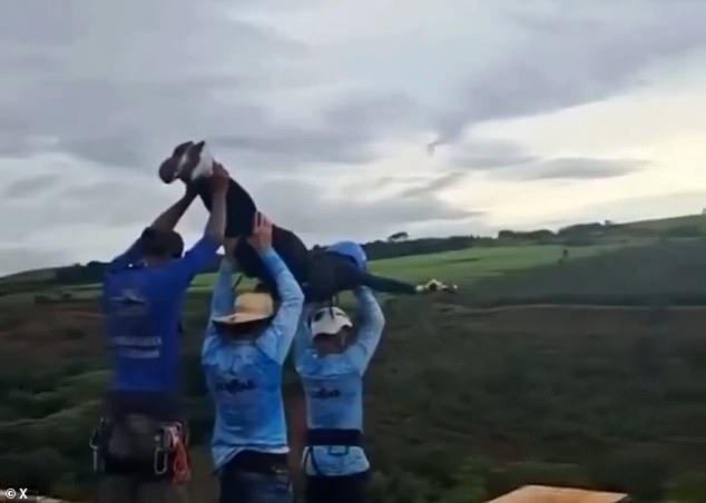 Stone-faced bungee jump workers seen being interrogated for first time after throwing woman, 21, to her death off bridge without rope