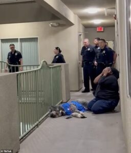 Woman’s adorable dog shot dead when Los Angeles cops probe noise complaint after Knicks win