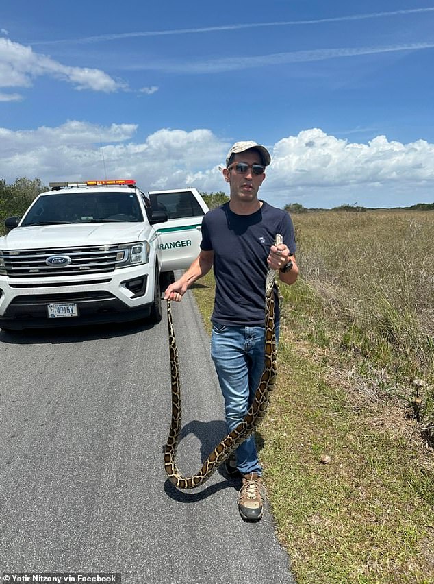 Florida man hailed as a hero for jumping off of his bike to wrangle a dangerous 8-foot python… only to then be slapped with a $180 FINE