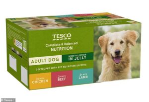 Revealed: The popular UK pet foods that contain the most microplastics – so, is your dog or cat at risk?