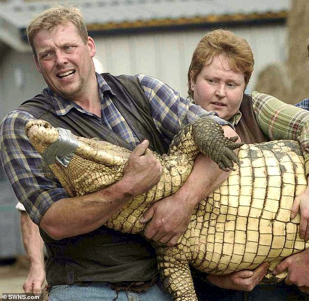 Hero wife of zoo owner who dived into crocodile pit to save three-year-old ‘thrown in by stranger’ – as boy fights for life and police question man, 30, for attempted murder