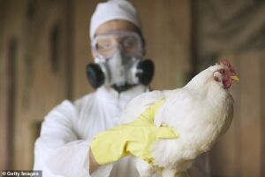 First suspected case of deadly bird flu is detected in Australia