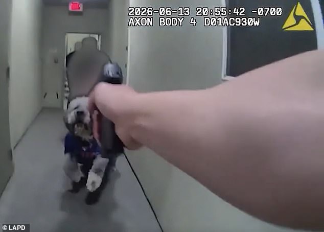 Horrifying LAPD bodycam shows cop shoot at helpless dog FOUR times as owner lets out blood-curdling screams